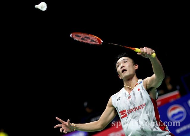 球队的每一 球队的每一