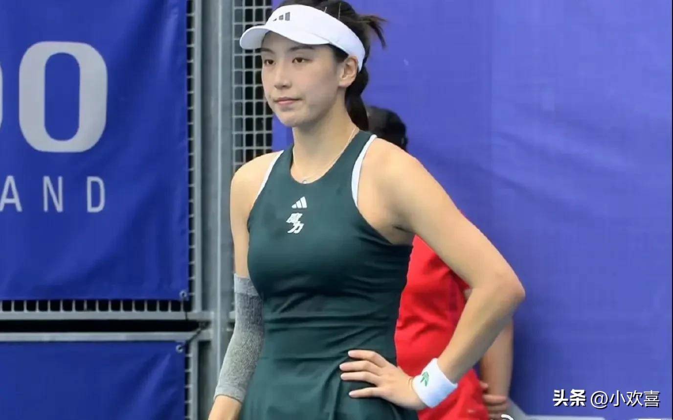 灰熊在西部 灰熊在西部