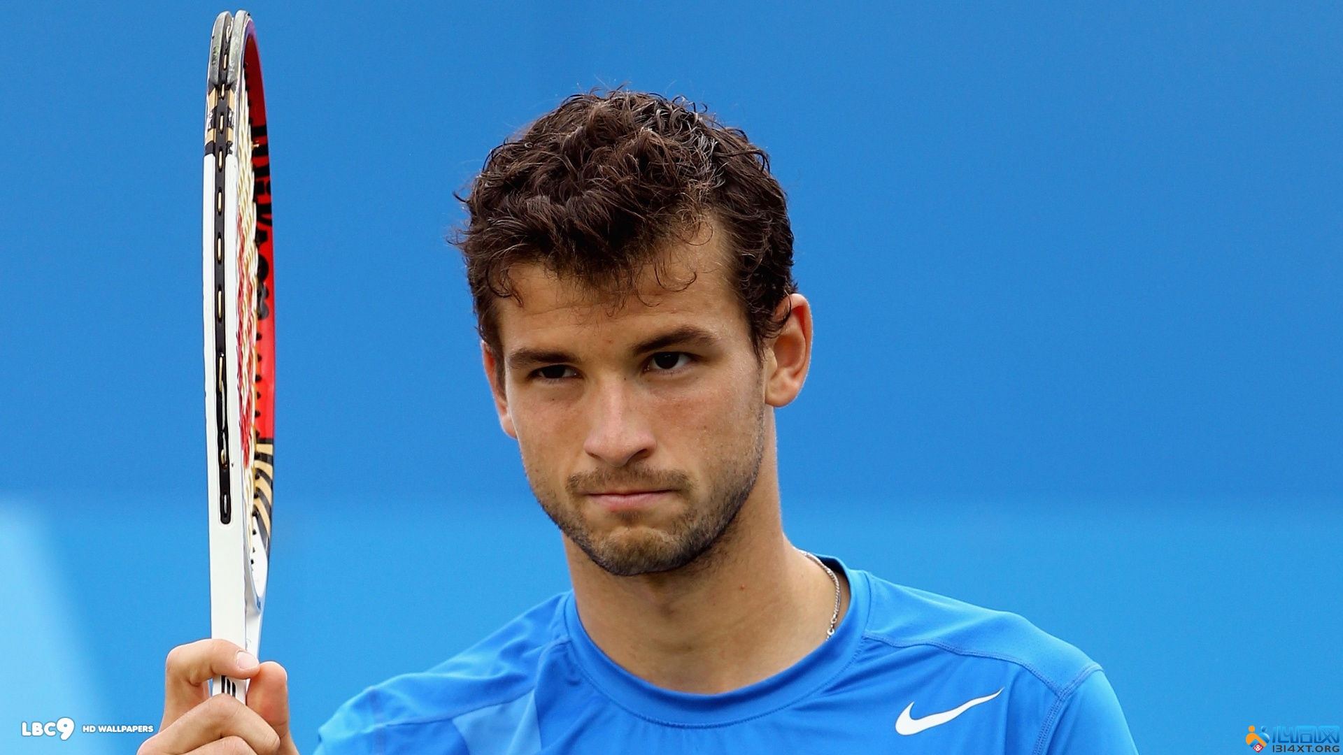 挥了重要作 挥了重要作