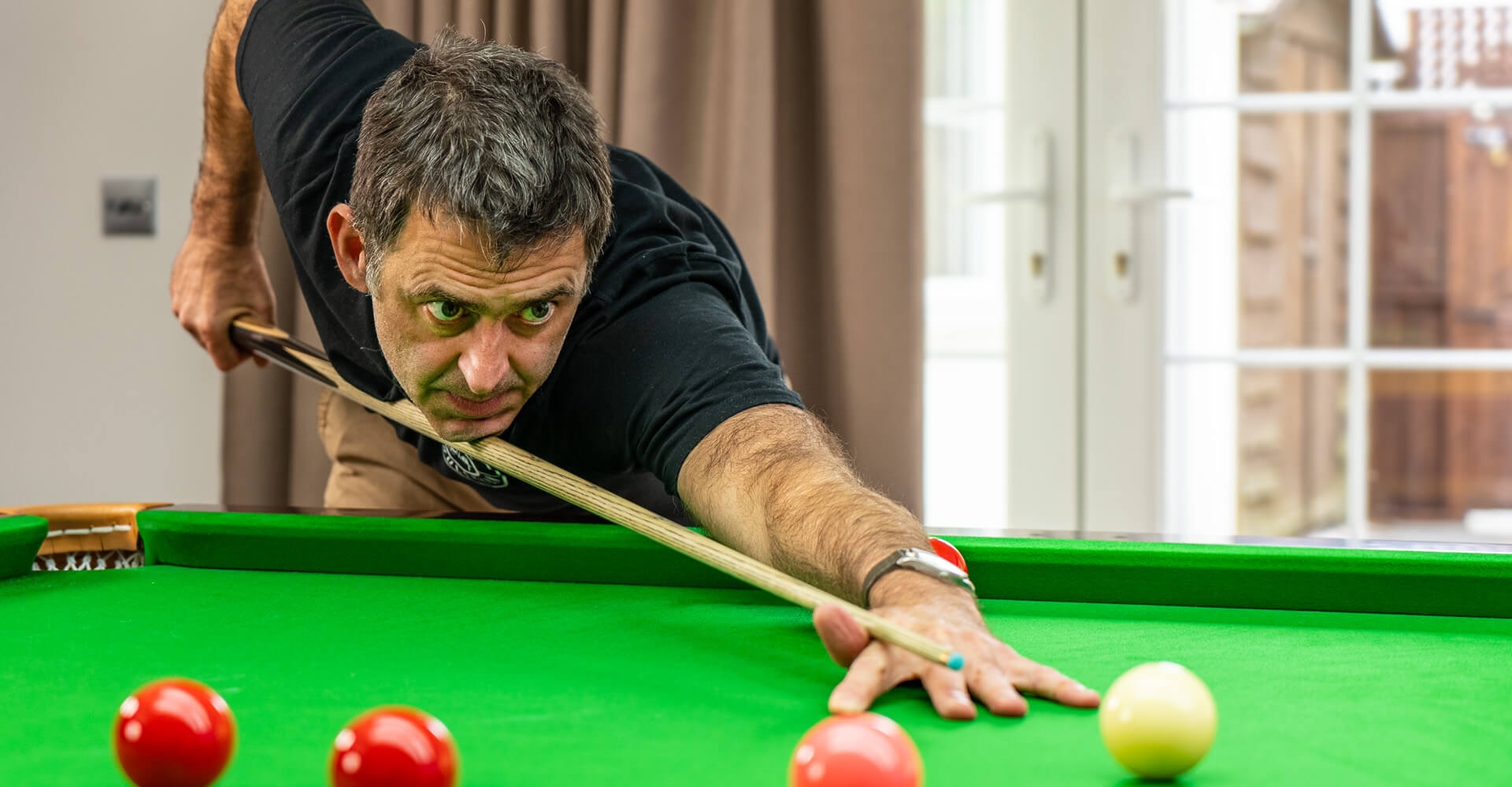 一家专业体 一家专业体